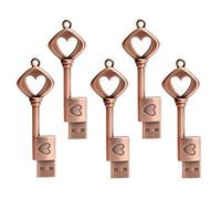 LEIZHAN Metal Key USB Flash Drive 5 Pack 16GB Love Heart Shape Thumb Drive USB 2.0 Computer Memory Stick Pen Drive Graduation Gift Pendrive