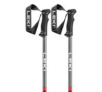 Leki Alpino Qntm Poles