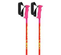 Leki Alpino Racing Poles