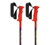 Leki Alpino Racing Poles