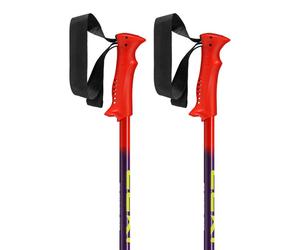 Leki Alpino Racing Poles