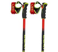 Leki Alpino Wcr Pro Gs Tr Poles