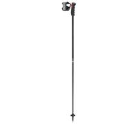 Leki - Black Venom GS TR - Ski poles size 115 cm, black/ carbon structure