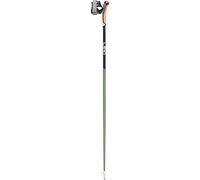 LEKI Flash Carbon Poles, Metallic Green, Black, 110 cm