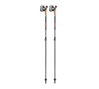 LEKI Instructor Lite Sticks