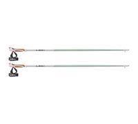 Leki - Passion - Nordic walking poles size 120 cm, smokegreen /grey