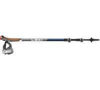 LEKI Traveler Carbon Nordic Walking poles black 90-130cm