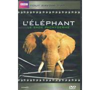 L'Eléphant Tout savoir sur...