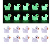 Leling 20PCS Luminous Duck, Mini Resin Ducks, Rubber Duck Glow In The Dark, Garden Ornament Duckling, Creative Ornaments, Micro Landscape Ornament, Resin Process Flower Fairy Garden Ornaments