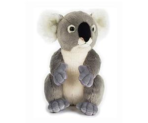 Lelly The National Geographic Basic Collection Koala