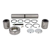 LEMA 243 Repair Kit, kingpin