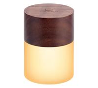 Lemelia Night Light Large with 7 Colour Changing RGB - Walnut Wood Gingko Design Multi One Size