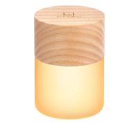 Lemelia Night Light Large with 7 Colour Changing RGB - White Ash Gingko Design Multi One Size