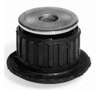 LEMFÖRDER 10071 02 Mounting, automatic transmission support