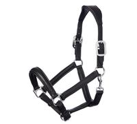 LeMieux Anatomic Headcollar for Horses in Black - Padded Leather & Metal Fittings - Adjustable - Full