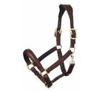 LeMieux Anatomic Ergonomic Padded Leather Headcollar Brass Black/Brown Cob/Full