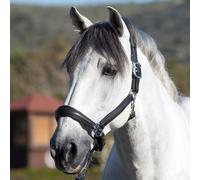 LeMieux Anatomic Equestrian Horse Headcollar: Leather, Padded & Comfortable