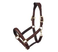 LeMieux Anatomic Leather Headcollar - Brown