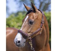 LeMieux Anatomic Ergonomic Padded Leather Headcollar Brass Black/Brown Cob/Full