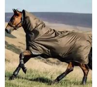 Lemieux Arika 600D Ripstop 0g Turnout Rug Alpine