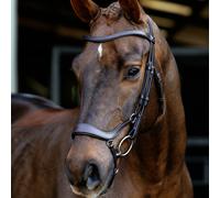 LeMieux Arika Anatomic Drop Bridle - Brown/Silver - Pony