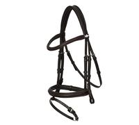 LeMieux Arika Flash Bridle - Lightly Padded Anatomical Noseband - Soft Supple Oiled Leather - Brown/Silver - Pony