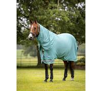 LeMieux Arika Ripstop 0g Turnout Rug - Lagoon 6ft0
