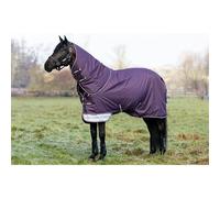 LeMieux Arika Ripstop 100g Pony/Horse Lightweight Turnout Rug - Juniper