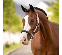 LeMieux Capella Headcollar - Fondant - Light Pink - Size: Full
