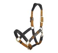 LeMieux Capella Headcollar - Ginger Cob