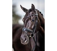 LeMieux Classic Dressage Bridle - Brown or Black