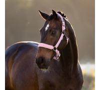 LeMieux Essence Headcollar - Fondant - Light Pink - Size: Cob