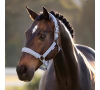 LeMieux Essence Headcollar - Powder Blue - Powder Blue - Size: Cob