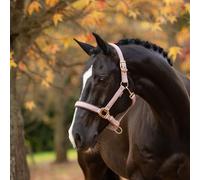 LeMieux Essence Headcollar - Wild Rose - Pink - Size: Pony