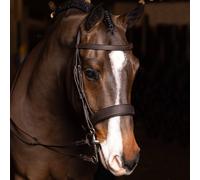 LeMieux Flat Hunter Bridle with Laced Reins - Havana - Size: Extra Full