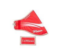 LeMieux Hobby Horse Winners Rug - Red - Suitable for Ages 3+