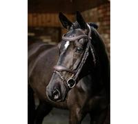 LeMieux Kudos Contour Flash Bridle - Soft Leather - Removable Flash - Anatomic Headpiece - Brown - Full