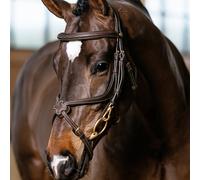 LeMieux Kudos Grackle Work Bridle - Brown - Cob