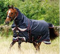 LeMieux Kudos Thermo Layer Turnout Rug 300g + Hood Heavyweight 1680d 5'6"-7'3"