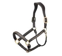 LeMieux Leather Crystal Halter - Anatomically Shaped Headcollar - Padded Headpiece and Noseband - Brown - Full