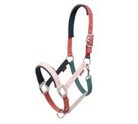 LeMieux Medley Headcollar - Spiced Earth/Petal/Aloe
