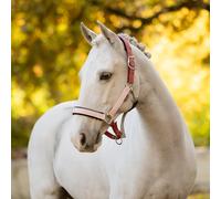 LeMieux Medley Headcollar - Spiced Earth/Petal/Aloe - Orange - Size: Super Mini