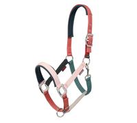 LeMieux Medley Headcollar - Spiced Earth/Petal/Aloe | Turnout | Adjustable