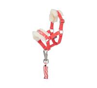 LeMieux Mini Toy Pony Harlow Headcollar & Leadrope - Coral Crush