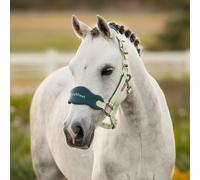 LeMieux Mini Vogue Headcollar & Leadrope - Macaron