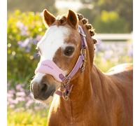 LeMieux Mini Vogue Headcollar & Leadrope - Mallow - Dark Pink - Size: Mini