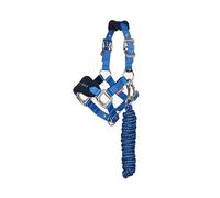 LeMieux Mini Vogue Headcollar & Leadrope - Perfect for Ponies - Adjustable at Curb and Poll - Benetton Blue - Super Mini