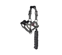 LeMieux Mini Vogue Headcollar & Leadrope - Perfect for Ponies - Adjustable at Curb and Poll - Black - Mini