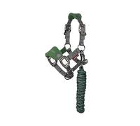 LeMieux Mini Vogue Headcollar & Leadrope - Perfect for Ponies - Adjustable at Curb and Poll - Hunter Green - Mini