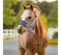 LeMieux Mini Vogue Headcollar & Leadrope - Powder Blue - Powder Blue - Size: Super Mini